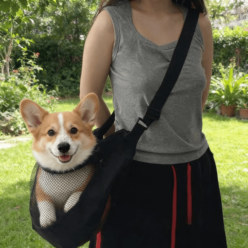 Travel Accessories Dog - Bolsa de Transporte para Perros de