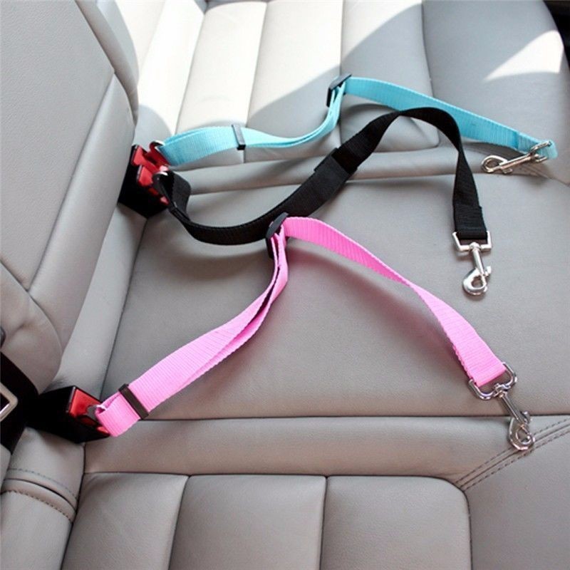 Travel Accessories Dog - Arnés Ajustable para Mascotas, Cinturón de