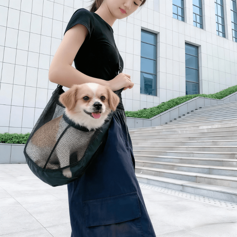 Bolsa de Transporte para Perro - Travel Accessories Dog reseña y precio