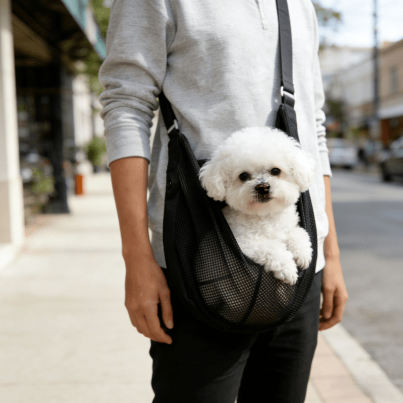Bolsa de Transporte para Perro - Travel Accessories Dog reseña y precio