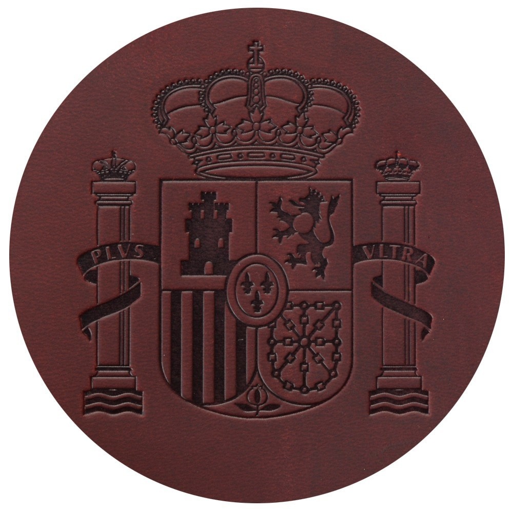 AIGUONIU, funda para pasaporte - Travel Accessories Passport Holder reseña y precio
